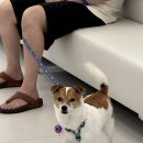 24시 마이동물의료센터 이미지