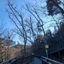 관악산 무장애숲길 | 관악산 등산코스 쉬어가는 무장애 숲길 서울 산책길 추천