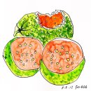 고이아