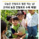 고지내농장 이미지