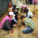 신방학초교 이미지