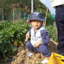 형준농장2 이미지