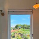 하귤소담 이미지