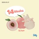 삼성여인숙 | 3월 일상: 산전육아휴직 동결건조 시키고 싶다..(feat.도쿄 태교여행)