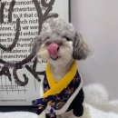 앙글몽글 이미지