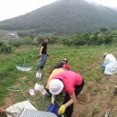 이민숙농장 이미지