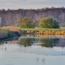 강변에서 이미지