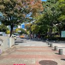 씨유 여의도점 이미지