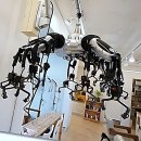 영심이살롱곰곰이호텔 | 머리 볼 때마다 현타 오던 나, 드디어 정착지 찾음!