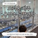 오리온 | 오리온 제주 용암수 홍보관 견학 후기 예약 방법 고슬고슬 구좌읍 식당 맛집