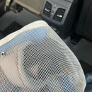 최우식동물병원 이미지