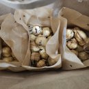 경기도 수원시 팔달구 고등로71번길 이미지