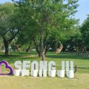 성주 경산리 성밖숲 이미지