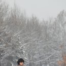 러브레터