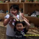 산들바농장 이미지