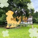 예락원 | 전남 힐링여행 애견동반 광주근교 장성 펜션 예락원