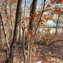 기봉농장 이미지