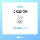 동네강아지 이미지