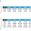 [정모공지] 6월 11(토)~12일(일) 2016년 팀큐브코리아 전국정모합니다. 이미지