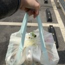 [결혼준비 W.1] 양가 인사 준비 후기