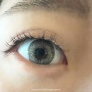 조원동 코멜리 :: 자연스럽고 오래가는 속눈썹 펌 추천 숍!