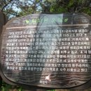 구포리 17-17 | (화성앓이14) 왕자봉, 남이장군묘, 해망산, 비봉인공습지와 사랑을 나누다