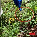 세모안경 이미지