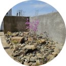 수피아호스텔 | 숙소 추천 | 일본 료칸 느낌 IJE 이제 경주 대만족 후기(스탠다드 더블A, 별채탕, 라운지, 조식, 편백...