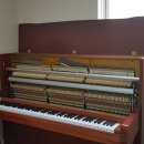 영창상회 이미지