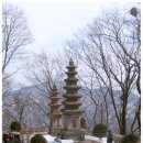 계룡산 늦겨울 나들이 (남매탑, 삼불봉, 천진보탑, 용문폭포~~) 이미지