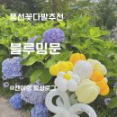 풍선꽃다발 추천ㅣ셀프웨딩소품으로 선택한 경기광주풍선 블루밍문 내돈내산후기