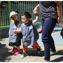 나라의 보배 이미지