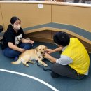 교육협동조합 세움 이미지