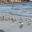 사단법인함께하는우리마음 | 부산명상 추천｜해운대 명상센터 위치·효과·5분 루틴 총정리