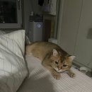 빨간코끼리약국 | 서울 살면 어때? 라는 질문에 대한 대답이 되는 글