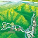 남해편백자연휴양림(남해) 이미지