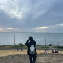 (주)멈스리테일 | 호주일지 3 - 멜번 3일차, 시드니 1일차 (2/26~27)