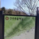 3월19일(토)이천산수유둘레길 이미지