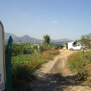 만금 2농장 이미지