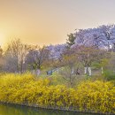 하나로에너지 이미지