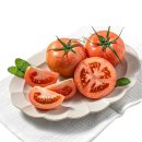 토마토 이미지