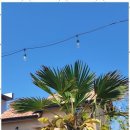 올래민박 이미지