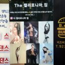 더 캘리포니아 짐 네이버블로그