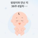 스킨엔(Skin N) | 다이소 품절템 '바다포도 스킨팩' 사용후기! 화잘먹 피부진정꿀템 진짜였다