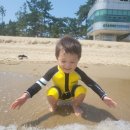 보성식당(회천) 네이버블로그