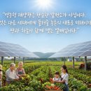 진흥2호 태양광발전소 | 17. 영농형 태양광의 대전환. 8년의 한계를 넘어 23년의 공존으로