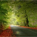 김동규 10월의 어느 멋진 날에 이미지