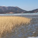 가나행정사사무소 이미지