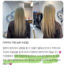 합정 염색 딥클렌징으로 완성한 무손상 블론드(무제한탈색,블랙빼기)