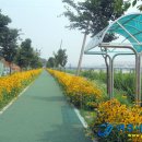 오학 걷고싶은거리 이미지